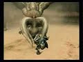 猫動画