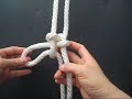Related Knots #1 - Uncovering Similarities