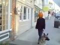 Walking the Dog