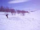 �nnu en skidvurpa