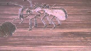 DIY personalized wooden sign using CNC mill
