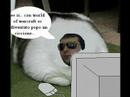 GIO\