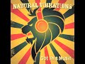 Natural Vibrations - Party And Dance