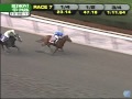 2011 Joseph A. Gimma Stakes - Bellacourt