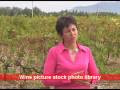 videos de [E] Montirius, #5 - a biodynamic wine grower, the story