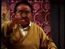 The essence of Buddhism - Sogyal Rinpoche
