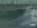Gold coast surf