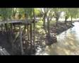 Zárate - Costanera