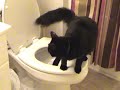 Pepper Pees