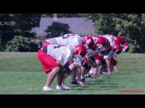 York Lions | 2013 Football season preview