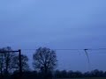 Delta im Zaun