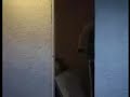 DV-63-2  MAY 14 98  SRY HOME INVASION SHOOTING DRUG HOUSE