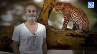 süha derbent vahşi yaşam fotoğrafçılığının sırları 19. bölüm süha derbent vahşi yaşam fotoğrafçılığının sırları 19. bölüm