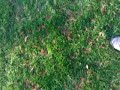 VIDEO0029.3gp