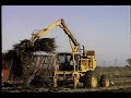 Louisiana Cane Loaders