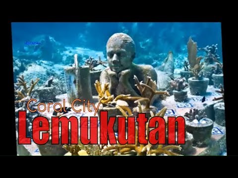 Kota Terumbu Karang Pulau Lemukutan