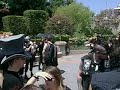 Batsday 2006
