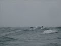 Kayak Surfing At The Spire on a Winters Day