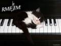 videos de POCZTA RMF FM ( poprawny kod)
