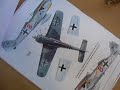 FW190 Painting scheme, September 2008.