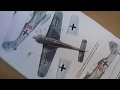 FW190 Painting scheme, September 2008.