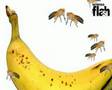 videos de Fruitvlieg Hyve Promo