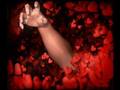 AHMET SEL�M  GECELER A�LIYOR