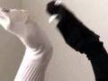 Isley Brothers busted sock