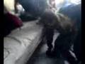 Violencia Infantil