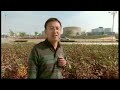 Click here to watch this video Entire Chinese City Sits Empty