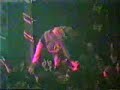 live in bar?a 1992