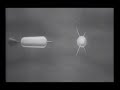set by satellite - The Long Morrow
