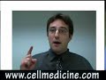 Stem Cells Crossing Blood Brain Barrier Stem Cells Crossing Blood Brain Barrier