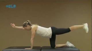 CORE Strength Exercise - Quadruped