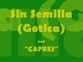 sin semilla