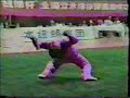 Ding Wei (Zui Jian 1996)
