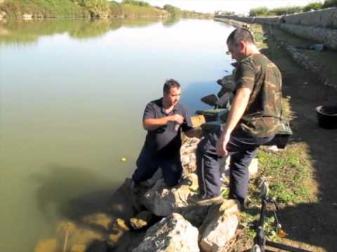 Barco cebador Anatec