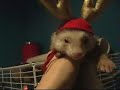 SO not Funny! (vid 3) SO not Funny! (vid 3)