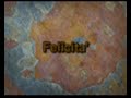 Felicita (verzjoni maltijja) Felicita (verzjoni maltijja)