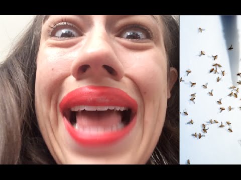 BUGS RUINED MY VIDEO!!!