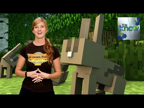 how to buy minecraft for pc 2014