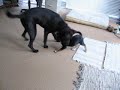 Jake and Mackenzie playing