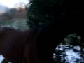 videos de Sary on the snow