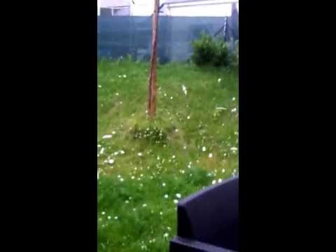 Image de prévisualisation YouTube