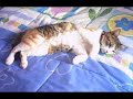 mi tinita guapa