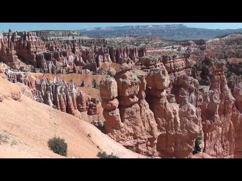 grand national results