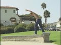 Ryan Sheckler and Rodney Mullen 3