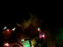 buster decorated with christmas lights buster decorated with christmas lights