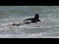 realpunch-ft-vanessa-armao-de-pra-fantasmas.html