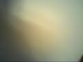 zzirGrizz\